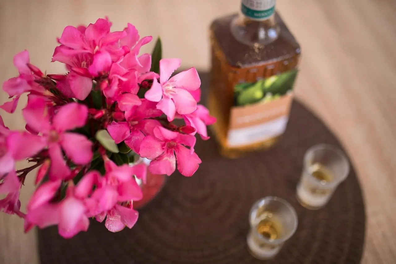 Apartment Oleander Punat